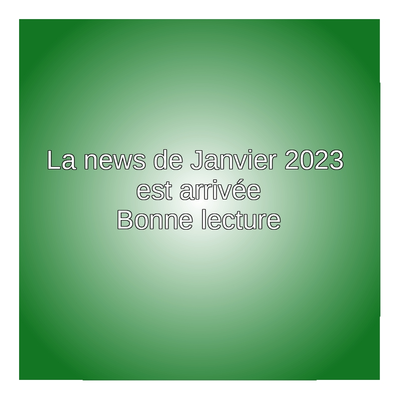 Featured image for “La newsletter de Virage pour Janvier”